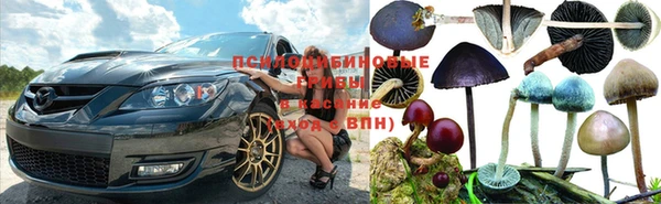 спиды Лагань