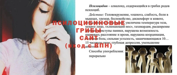 бошки Ладушкин