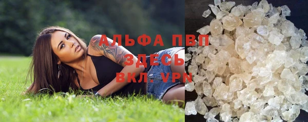 бошки Ладушкин