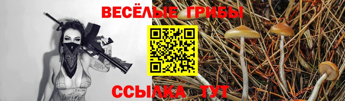 Мелеуз  Псилоцибиновые грибы Psilocybe  Вход с VPN 
